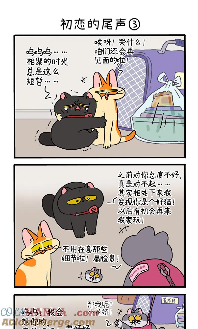 第109话1初恋的尾声-阿满和麦茶-新漫画 日胖大海寺（第5张）