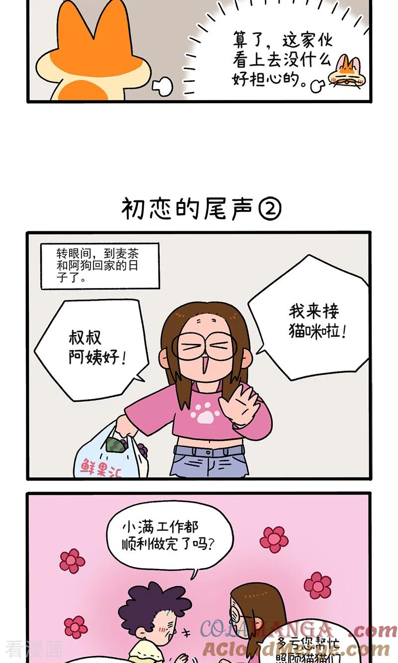 第109话1初恋的尾声-阿满和麦茶-新漫画 日胖大海寺（第3张）