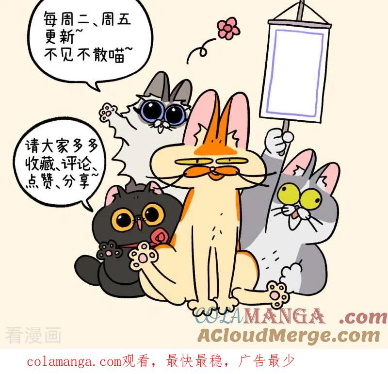 第109话1初恋的尾声-阿满和麦茶-新漫画 日胖大海寺（第8张）