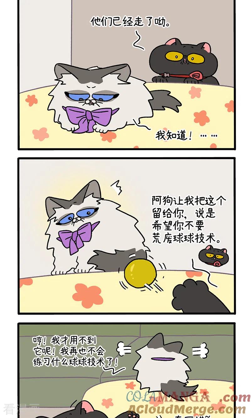 第109话2初恋的尾声-阿满和麦茶-新漫画 日胖大海寺（第3张）