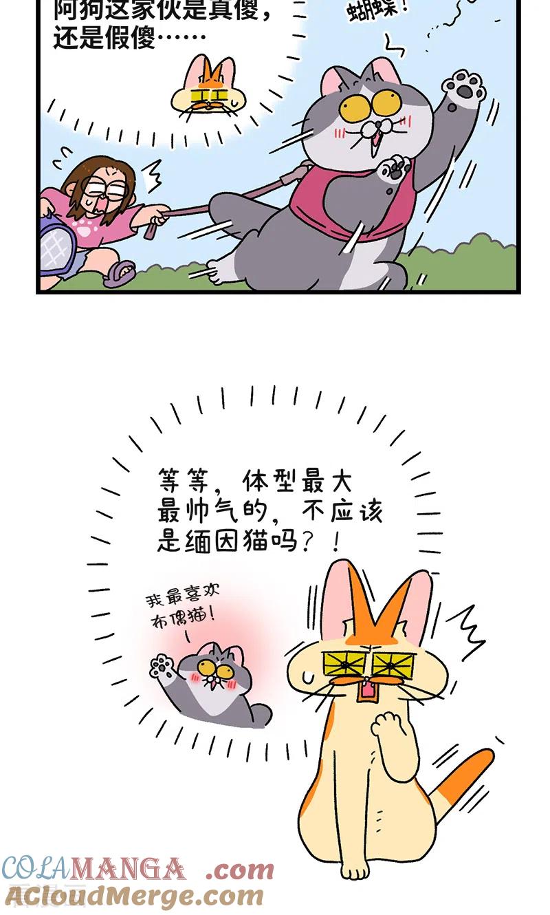第109话2初恋的尾声-阿满和麦茶-新漫画 日胖大海寺（第6张）