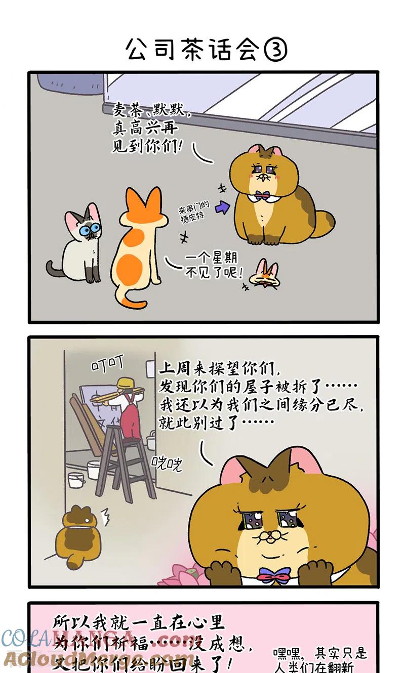 第110话1公司茶话会-阿满和麦茶-新漫画 日胖大海寺（第5张）
