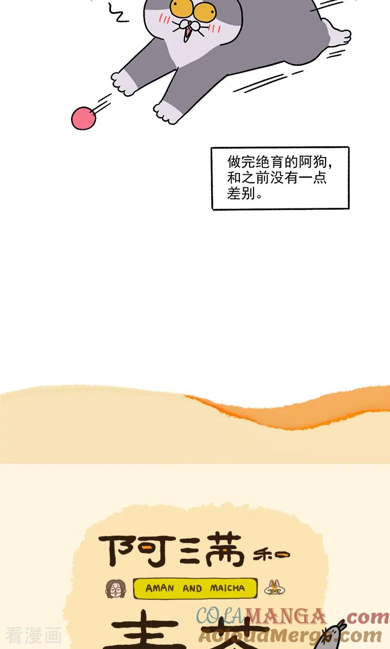 第110话2公司茶话会-阿满和麦茶-新漫画 日胖大海寺（第7张）