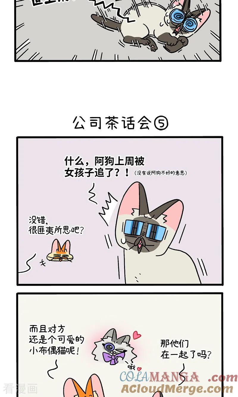 第110话2公司茶话会-阿满和麦茶-新漫画 日胖大海寺（第3张）