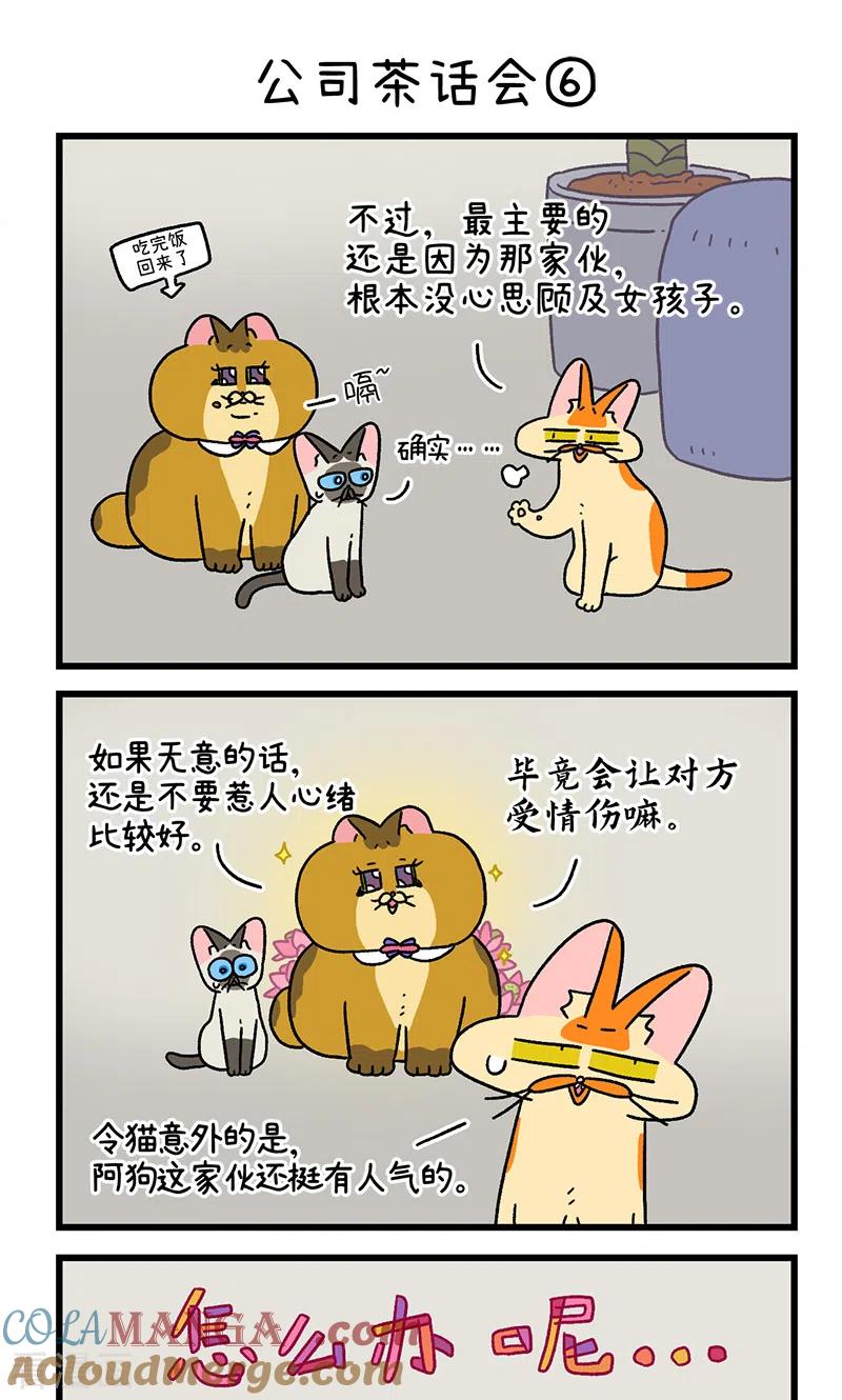 第110话2公司茶话会-阿满和麦茶-新漫画 日胖大海寺（第5张）