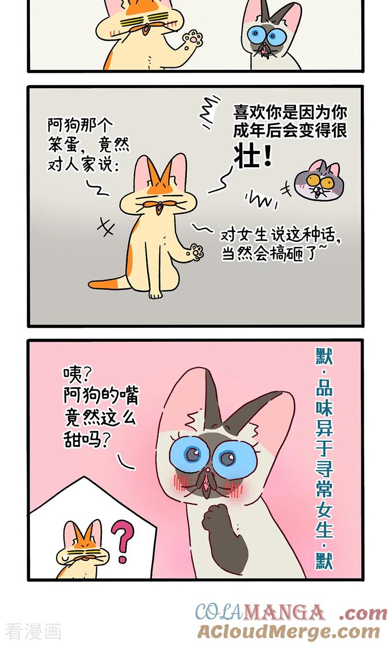 第110话2公司茶话会-阿满和麦茶-新漫画 日胖大海寺（第4张）