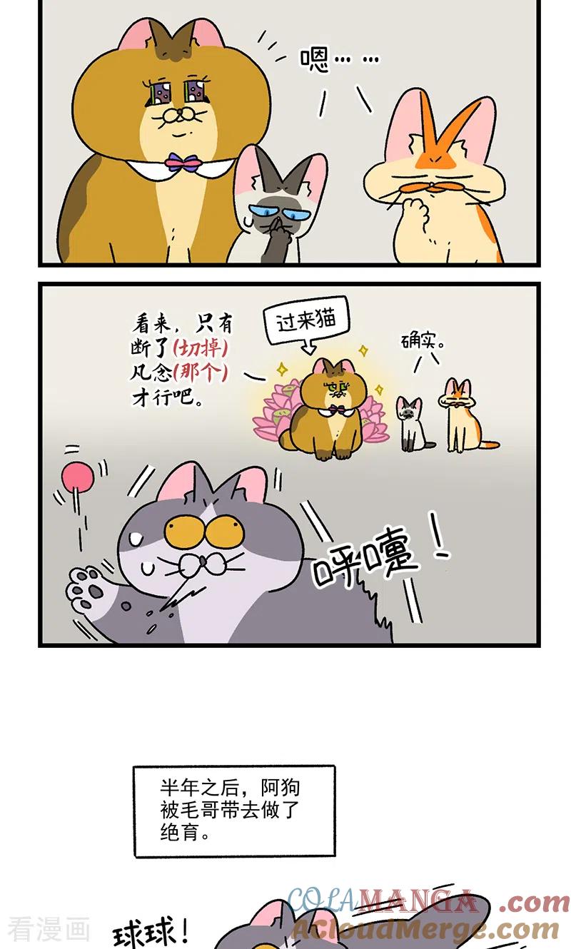 第110话2公司茶话会-阿满和麦茶-新漫画 日胖大海寺（第6张）