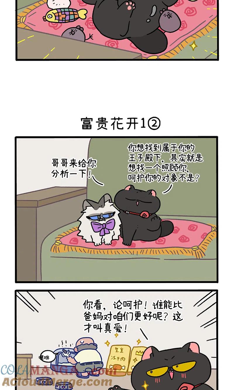 番外21上富贵花开1-阿满和麦茶-新漫画 日胖大海寺（第3张）