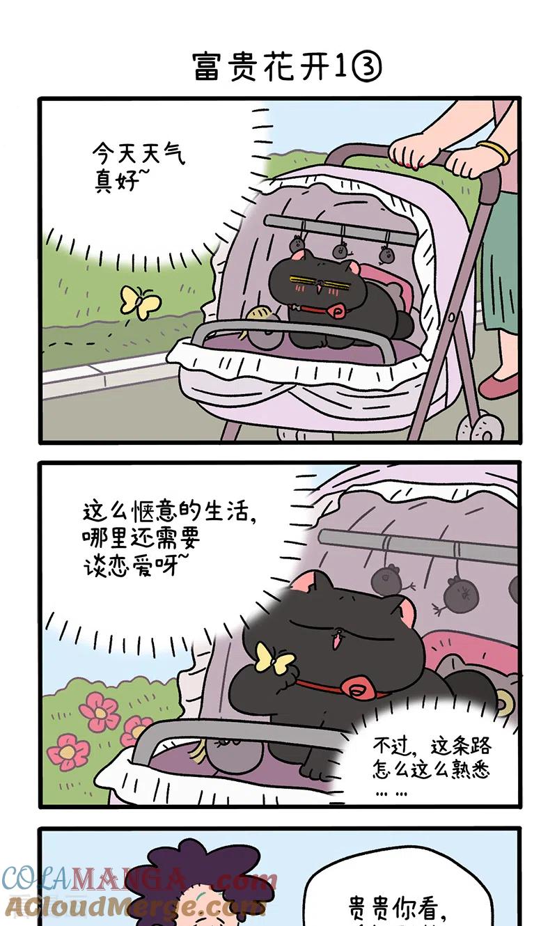 番外21上富贵花开1-阿满和麦茶-新漫画 日胖大海寺（第5张）