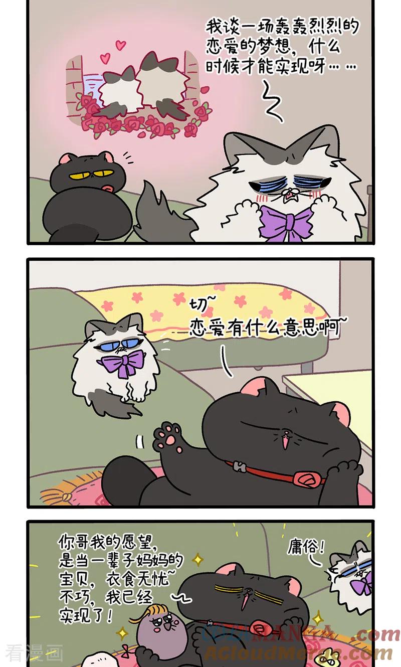 番外21上富贵花开1-阿满和麦茶-新漫画 日胖大海寺（第2张）