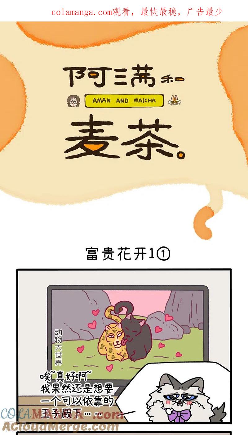 番外21上富贵花开1-阿满和麦茶-新漫画 日胖大海寺（第1张）