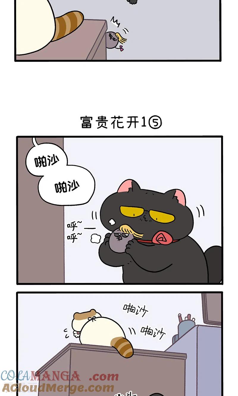 番外21下富贵花开1-阿满和麦茶-新漫画 日胖大海寺（第3张）