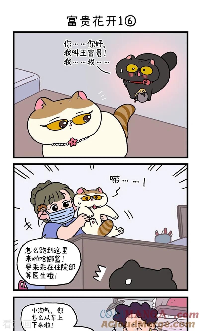 番外21下富贵花开1-阿满和麦茶-新漫画 日胖大海寺（第5张）