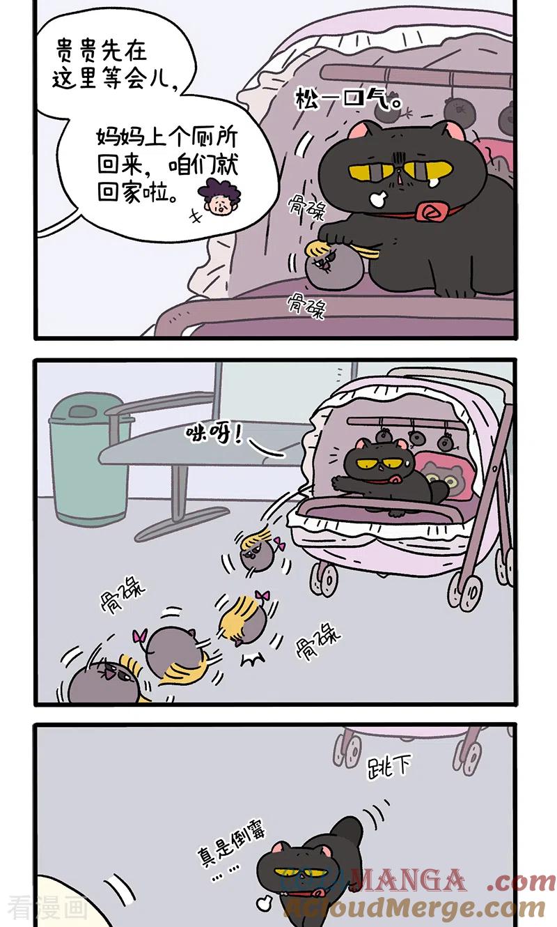 番外21下富贵花开1-阿满和麦茶-新漫画 日胖大海寺（第2张）