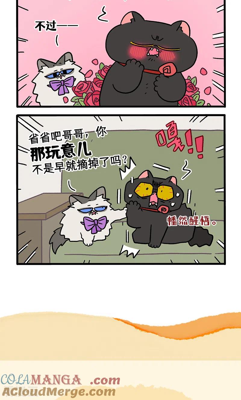 番外22上富贵花开2-阿满和麦茶-新漫画 日胖大海寺（第6张）