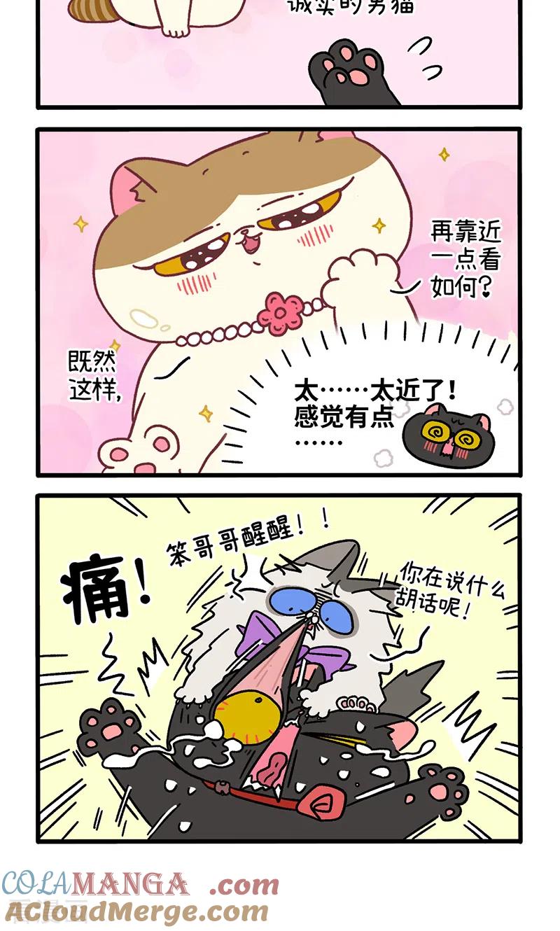 番外22上富贵花开2-阿满和麦茶-新漫画 日胖大海寺（第4张）