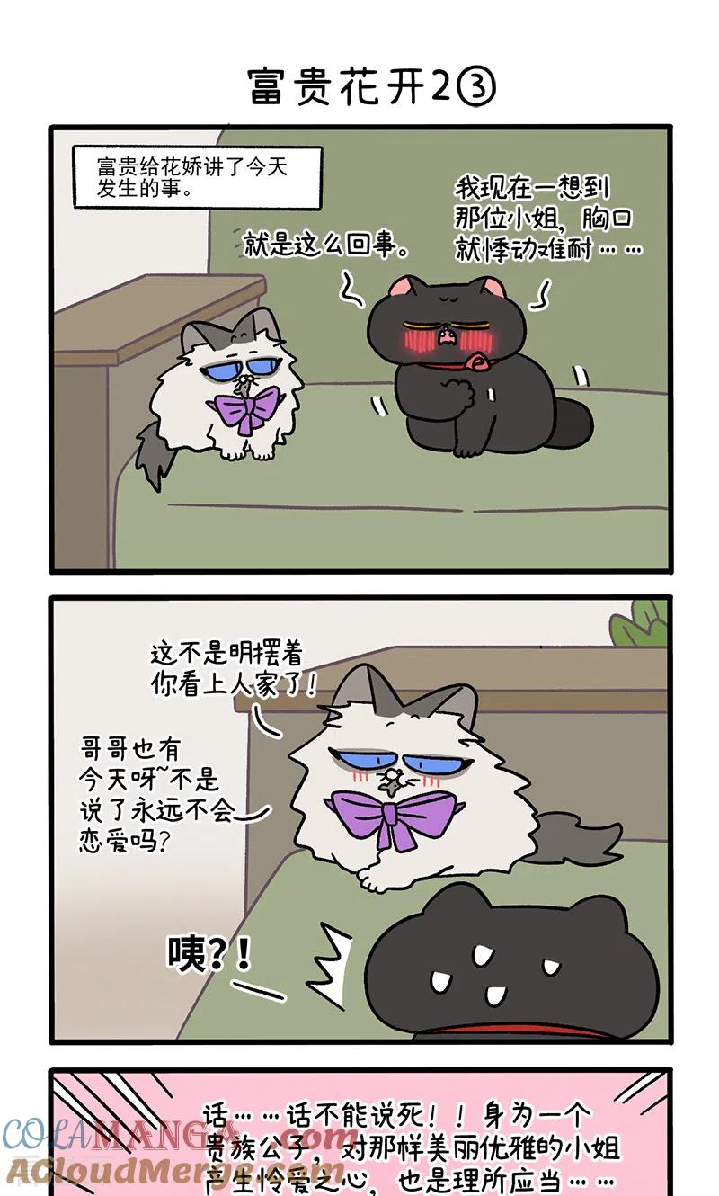 番外22上富贵花开2-阿满和麦茶-新漫画 日胖大海寺（第5张）