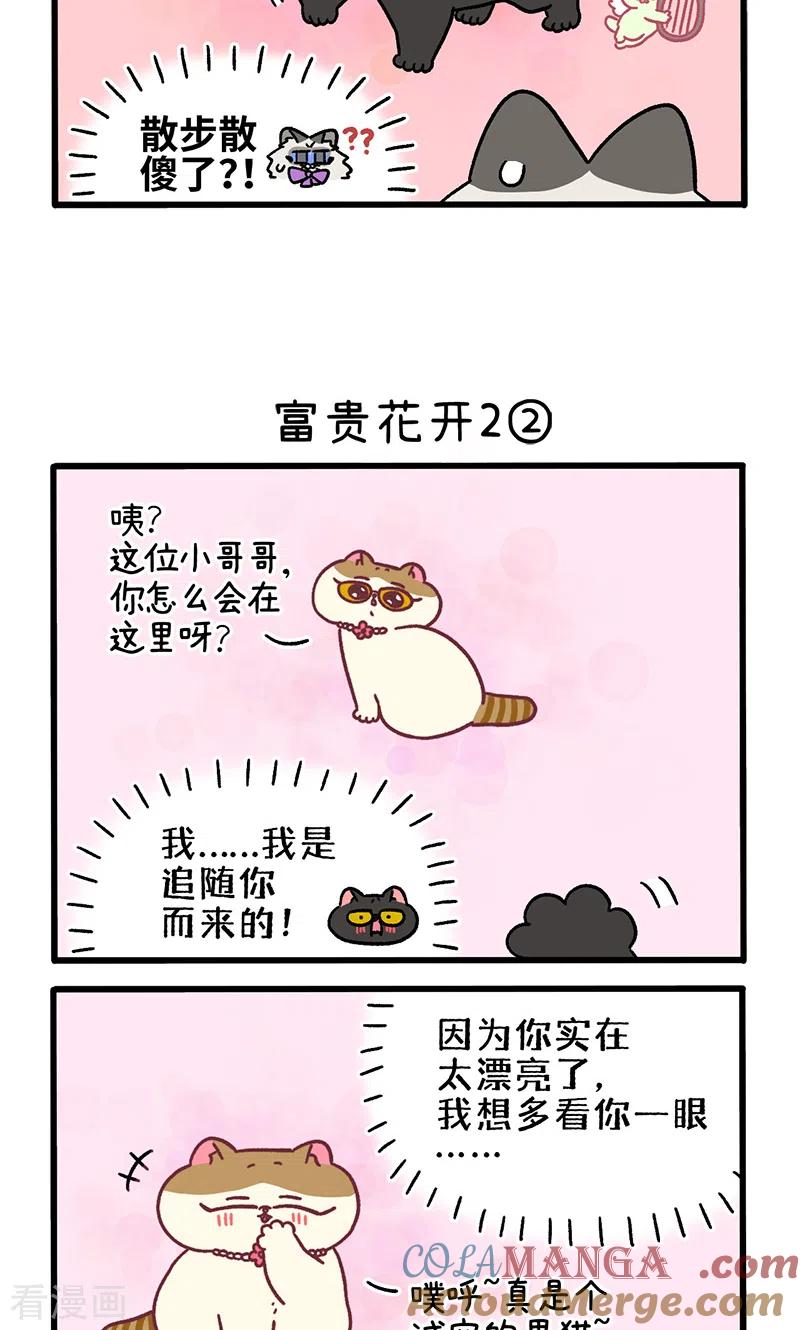 番外22上富贵花开2-阿满和麦茶-新漫画 日胖大海寺（第3张）