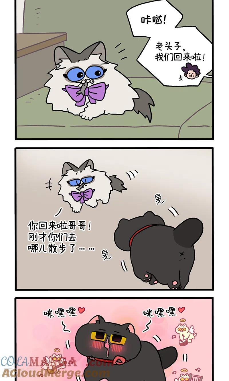番外22上富贵花开2-阿满和麦茶-新漫画 日胖大海寺（第2张）