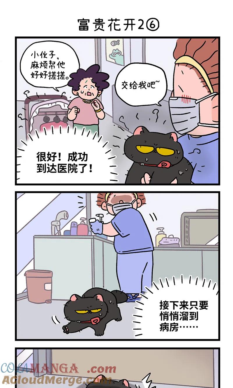 番外22下富贵花开2-阿满和麦茶-新漫画 日胖大海寺（第5张）