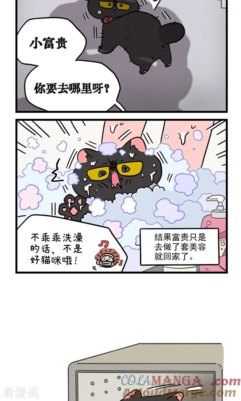 番外22下富贵花开2-阿满和麦茶-新漫画 日胖大海寺（第6张）