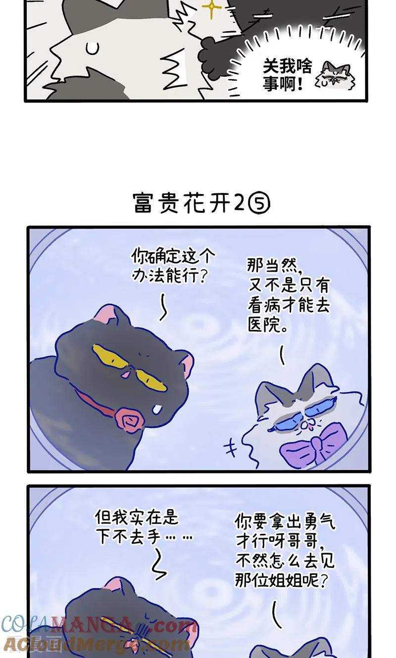 番外22下富贵花开2-阿满和麦茶-新漫画 日胖大海寺（第3张）