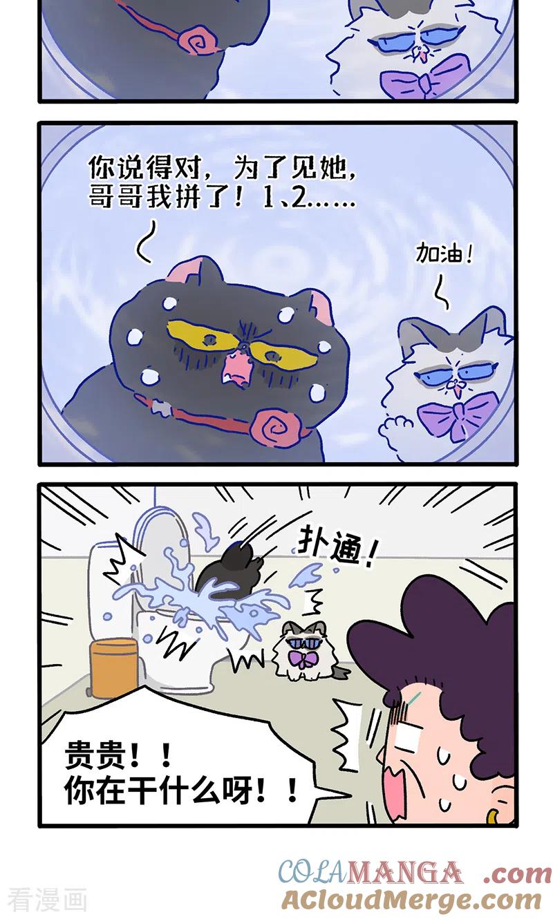 番外22下富贵花开2-阿满和麦茶-新漫画 日胖大海寺（第4张）