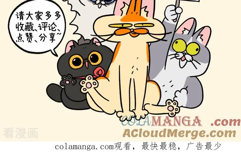 番外22下富贵花开2-阿满和麦茶-新漫画 日胖大海寺（第9张）