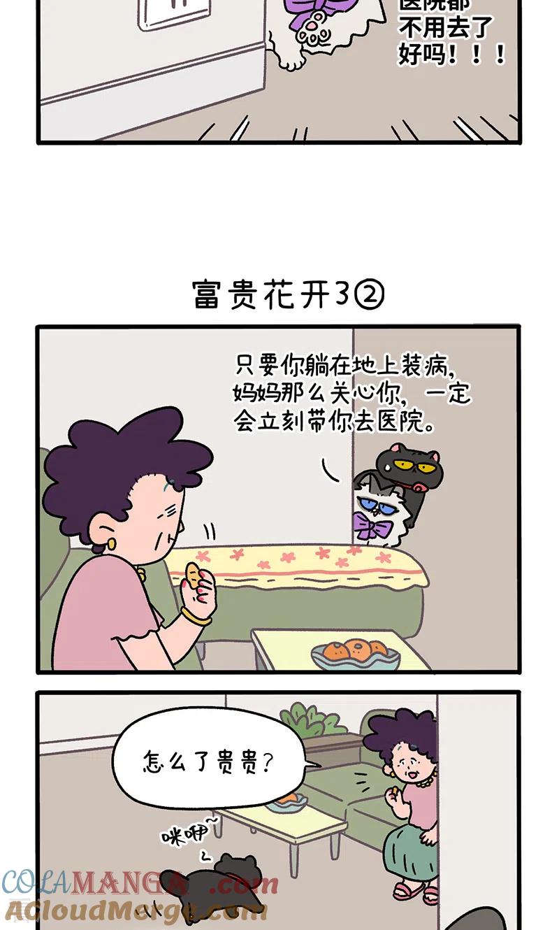番外23上富贵花开3-阿满和麦茶-新漫画 日胖大海寺（第3张）