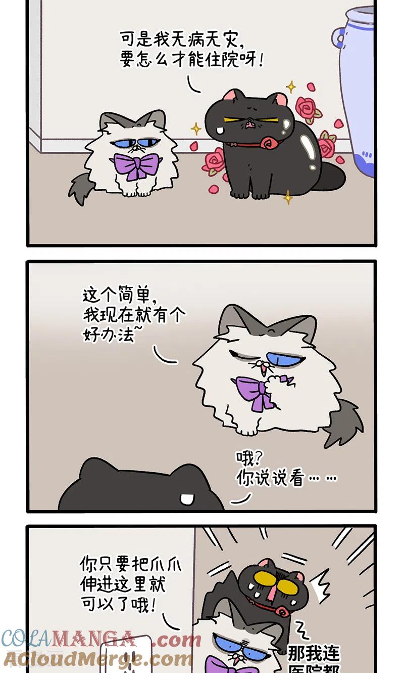 番外23上富贵花开3-阿满和麦茶-新漫画 日胖大海寺（第2张）