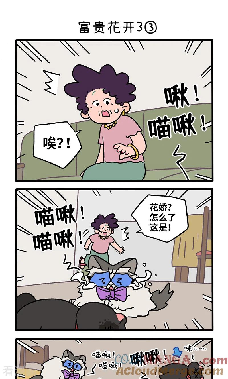 番外23上富贵花开3-阿满和麦茶-新漫画 日胖大海寺（第5张）