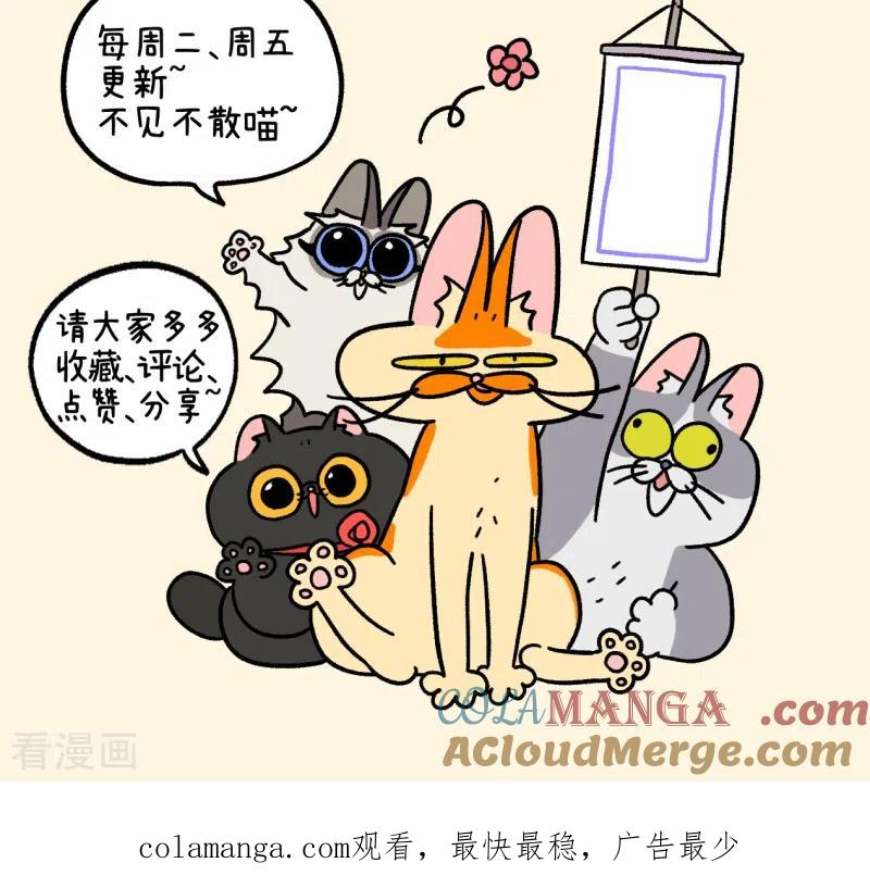 番外23上富贵花开3-阿满和麦茶-新漫画 日胖大海寺（第8张）