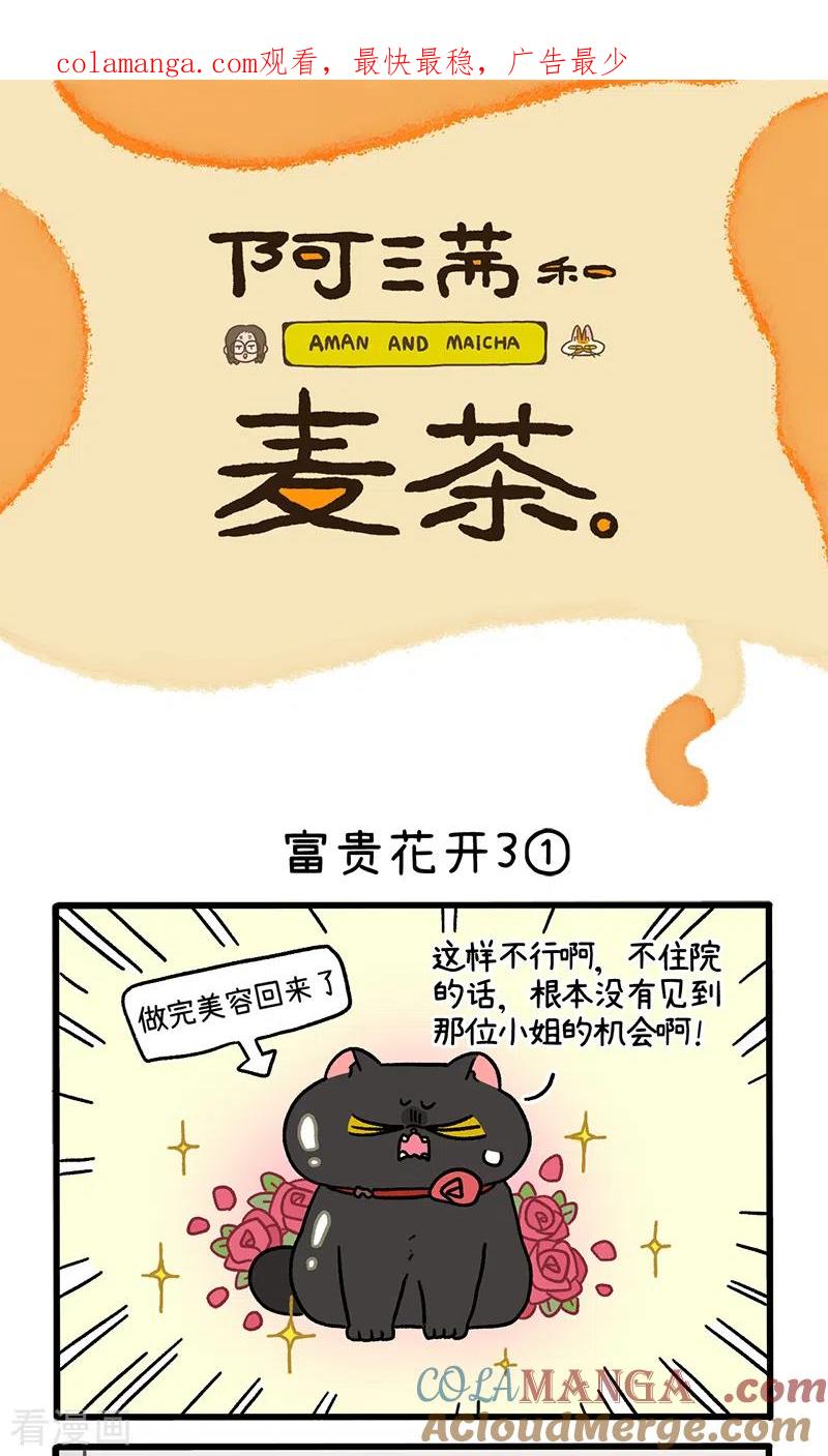 番外23上富贵花开3-阿满和麦茶-新漫画 日胖大海寺（第1张）