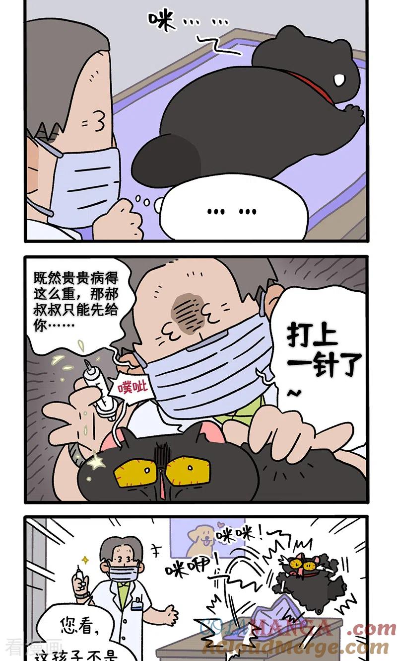 番外23下富贵花开3-阿满和麦茶-新漫画 日胖大海寺（第2张）