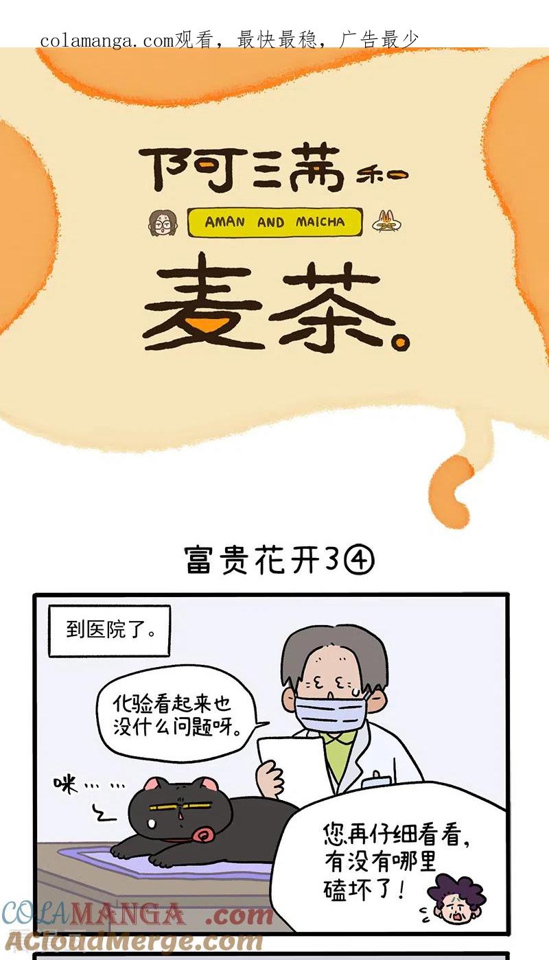 番外23下富贵花开3-阿满和麦茶-新漫画 日胖大海寺（第1张）