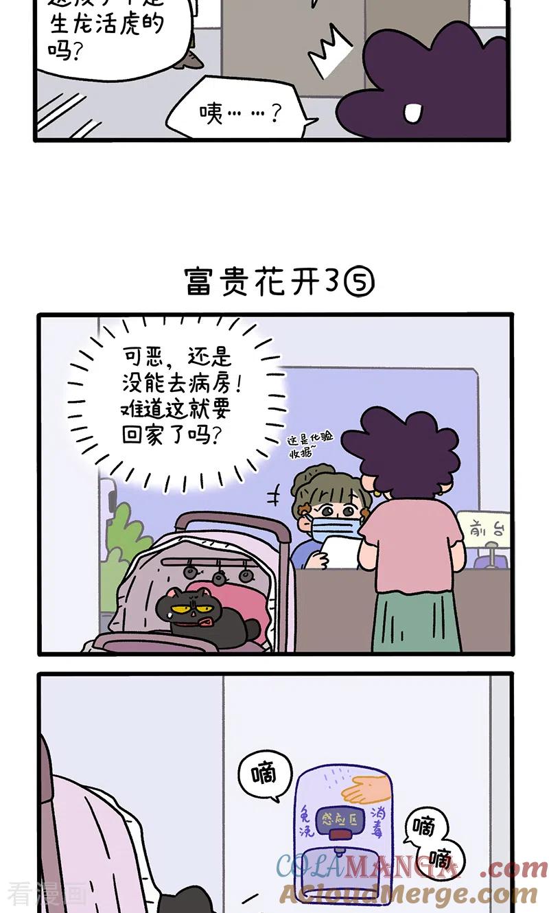 番外23下富贵花开3-阿满和麦茶-新漫画 日胖大海寺（第3张）