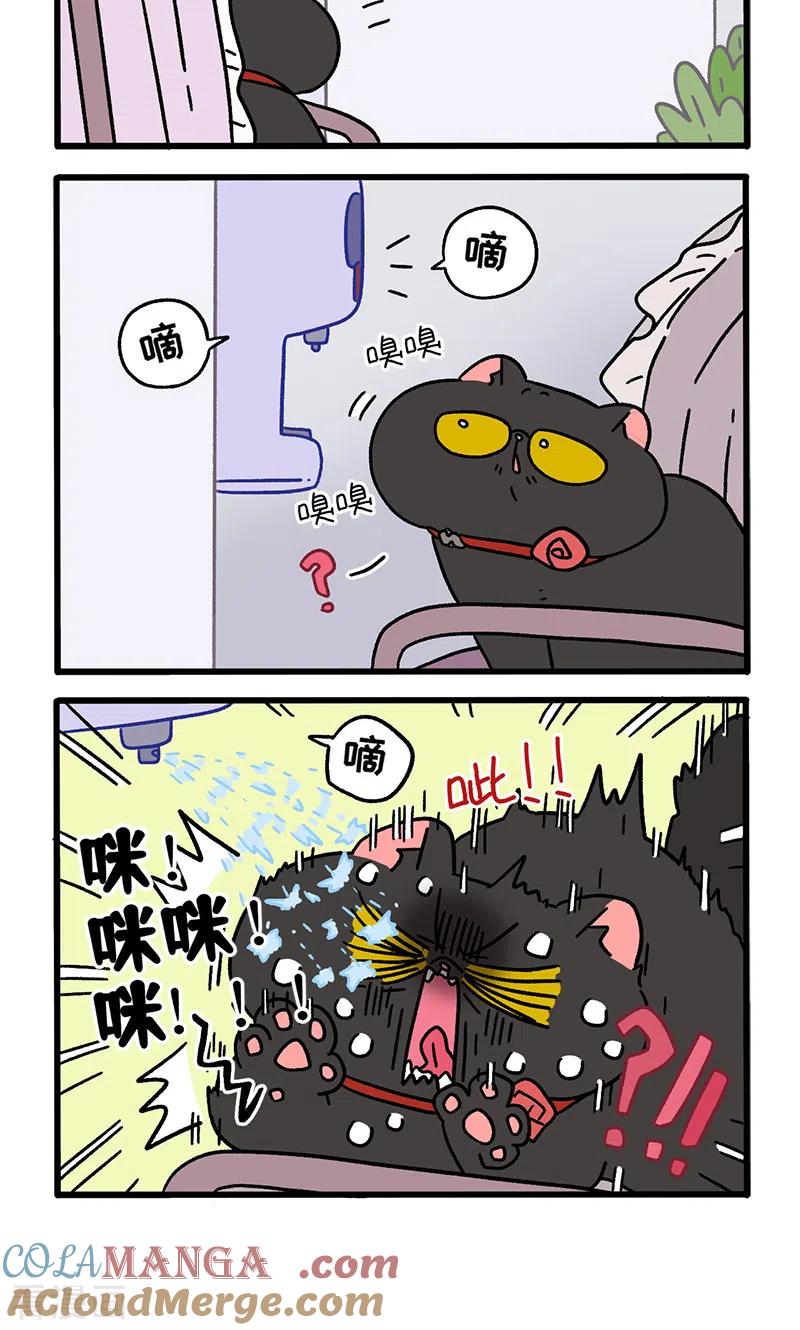 番外23下富贵花开3-阿满和麦茶-新漫画 日胖大海寺（第4张）