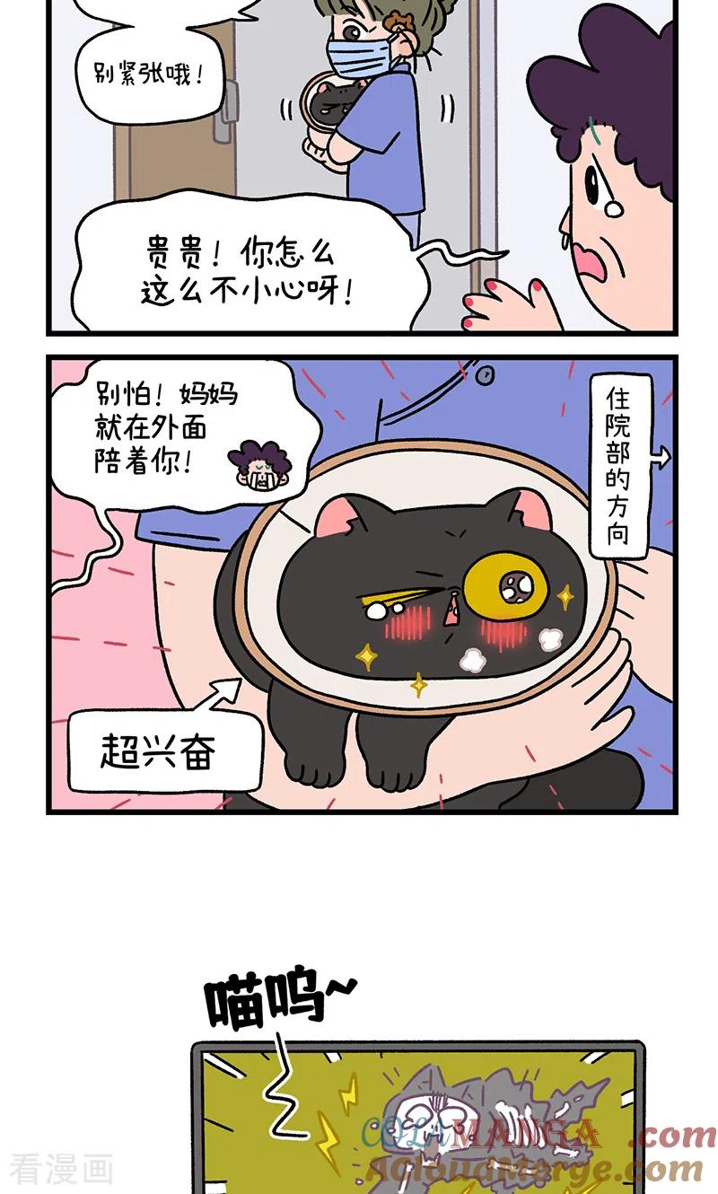 番外23下富贵花开3-阿满和麦茶-新漫画 日胖大海寺（第6张）