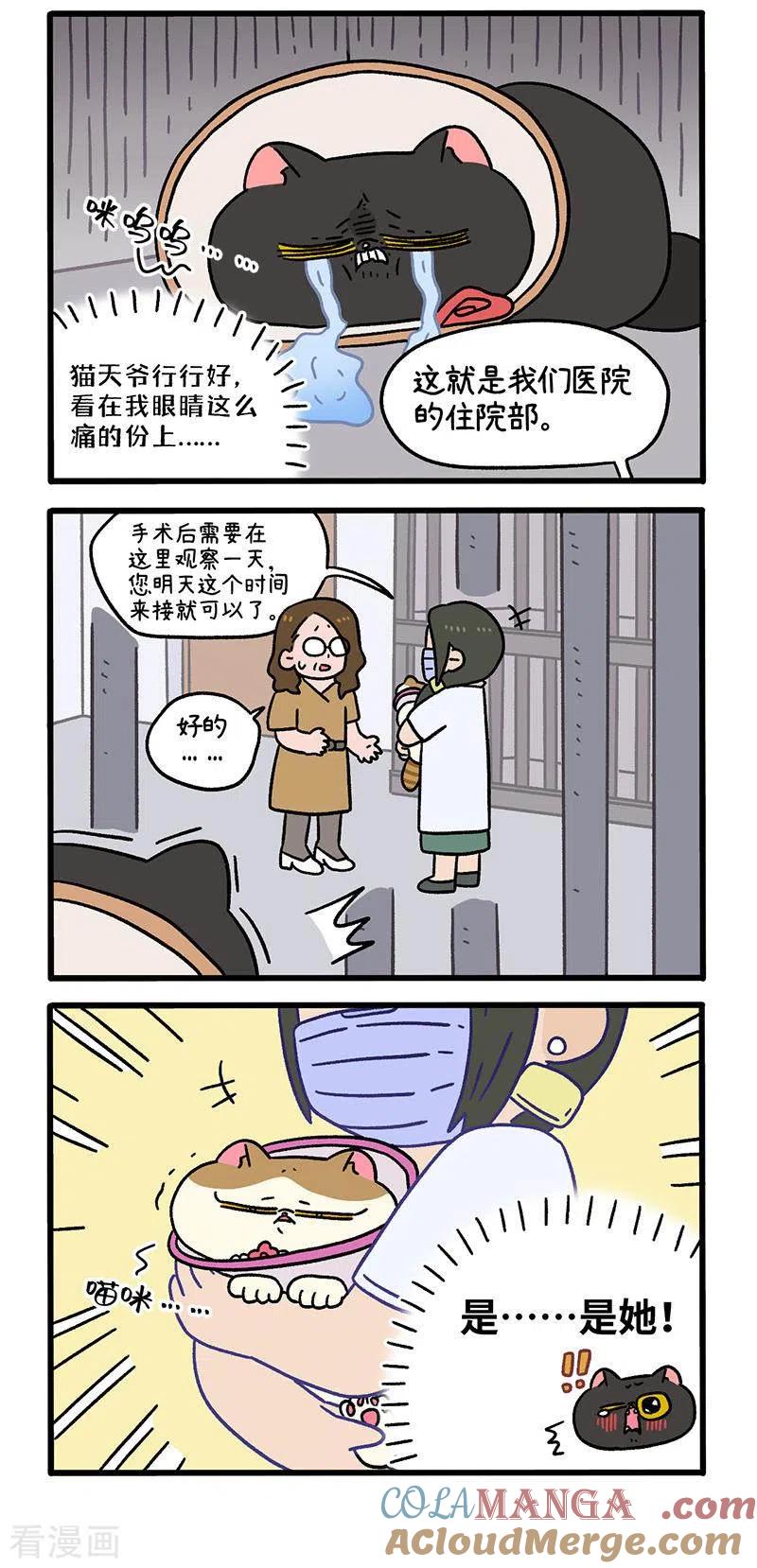 番外24上富贵花开4-阿满和麦茶-新漫画 日胖大海寺（第3张）