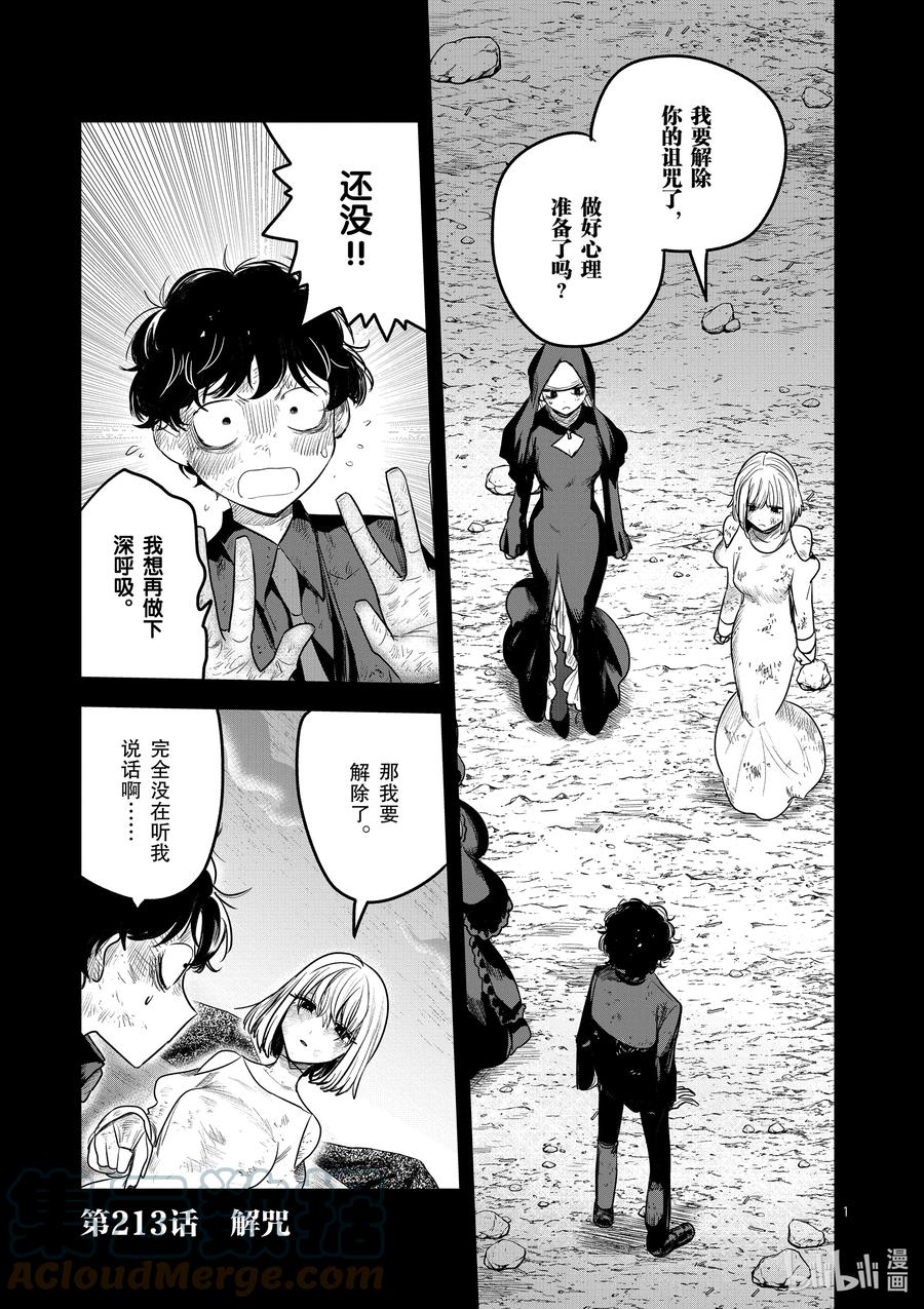 213第213话解咒-死神少爷与黑女仆-井上小春,小学馆（第1张）