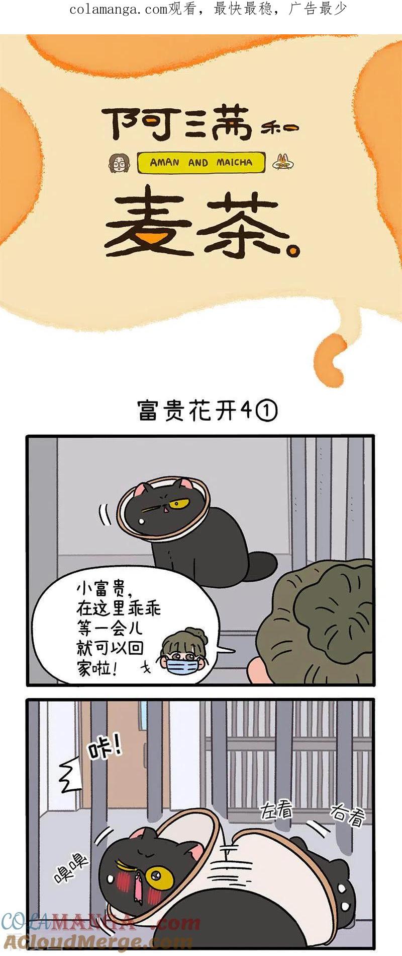 番外24上富贵花开4-阿满和麦茶-新漫画 日胖大海寺（第1张）
