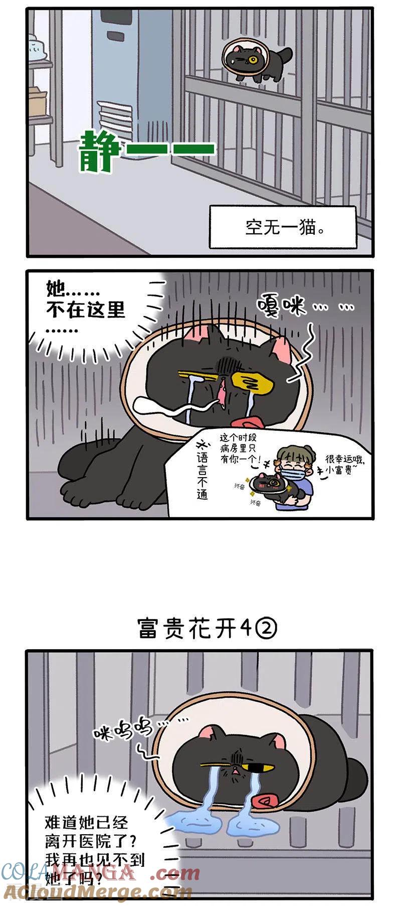番外24上富贵花开4-阿满和麦茶-新漫画 日胖大海寺（第2张）