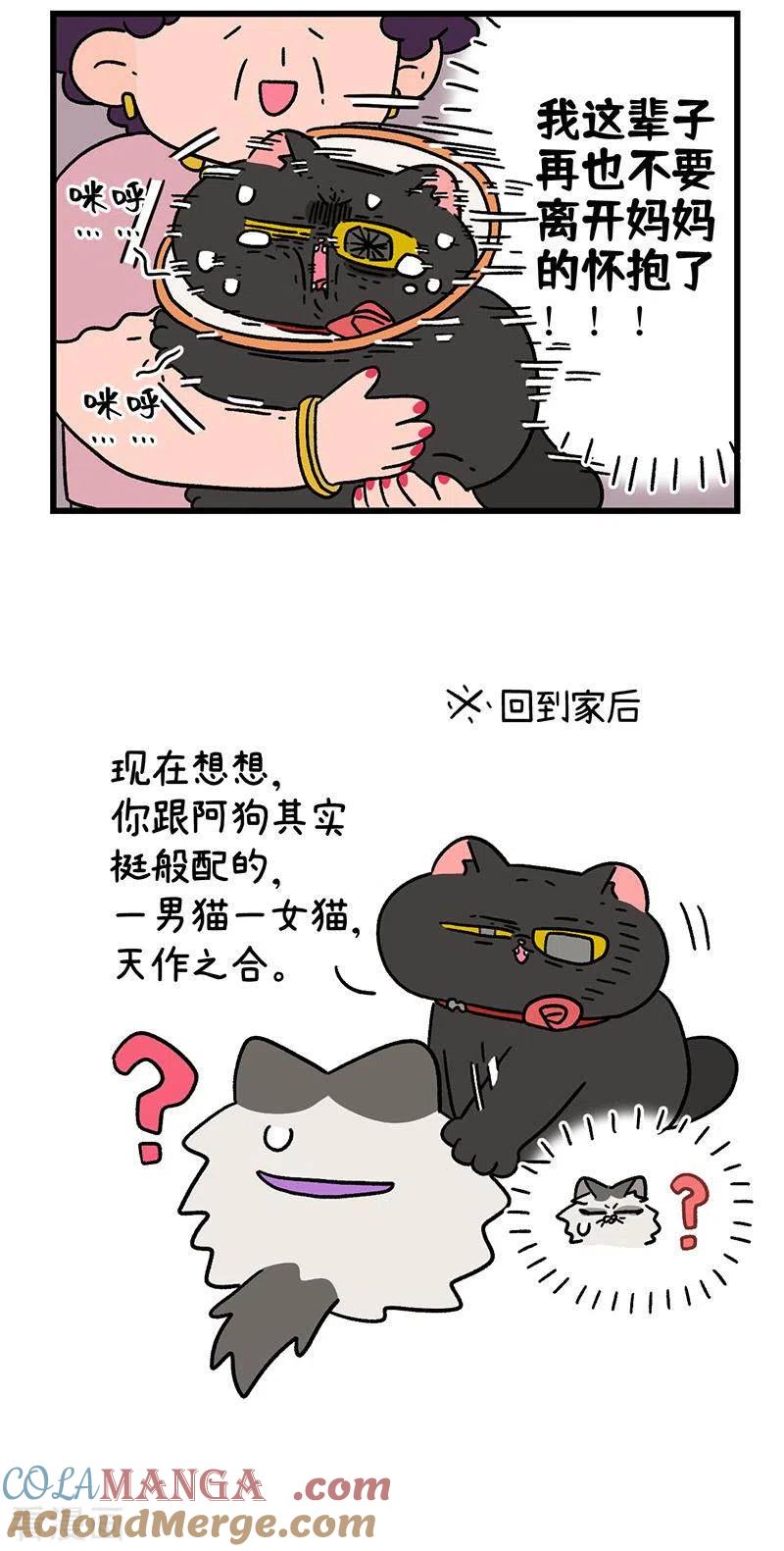 番外24下富贵花开4-阿满和麦茶-新漫画 日胖大海寺（第5张）