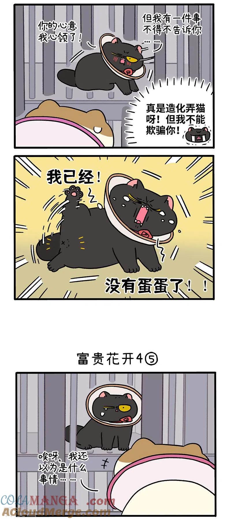 番外24下富贵花开4-阿满和麦茶-新漫画 日胖大海寺（第2张）