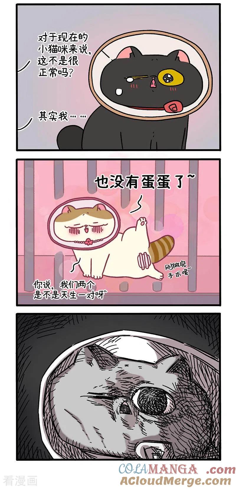 番外24下富贵花开4-阿满和麦茶-新漫画 日胖大海寺（第3张）