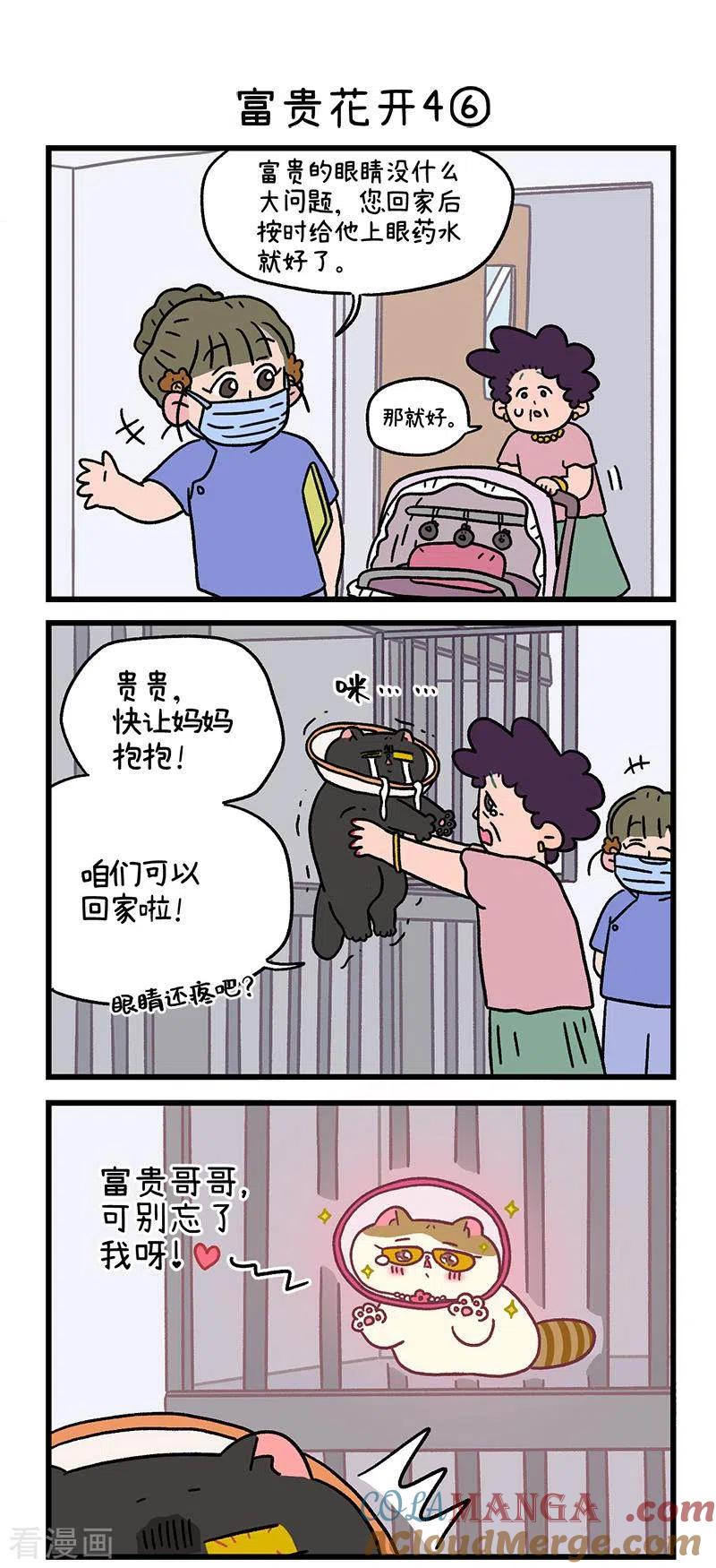 番外24下富贵花开4-阿满和麦茶-新漫画 日胖大海寺（第4张）