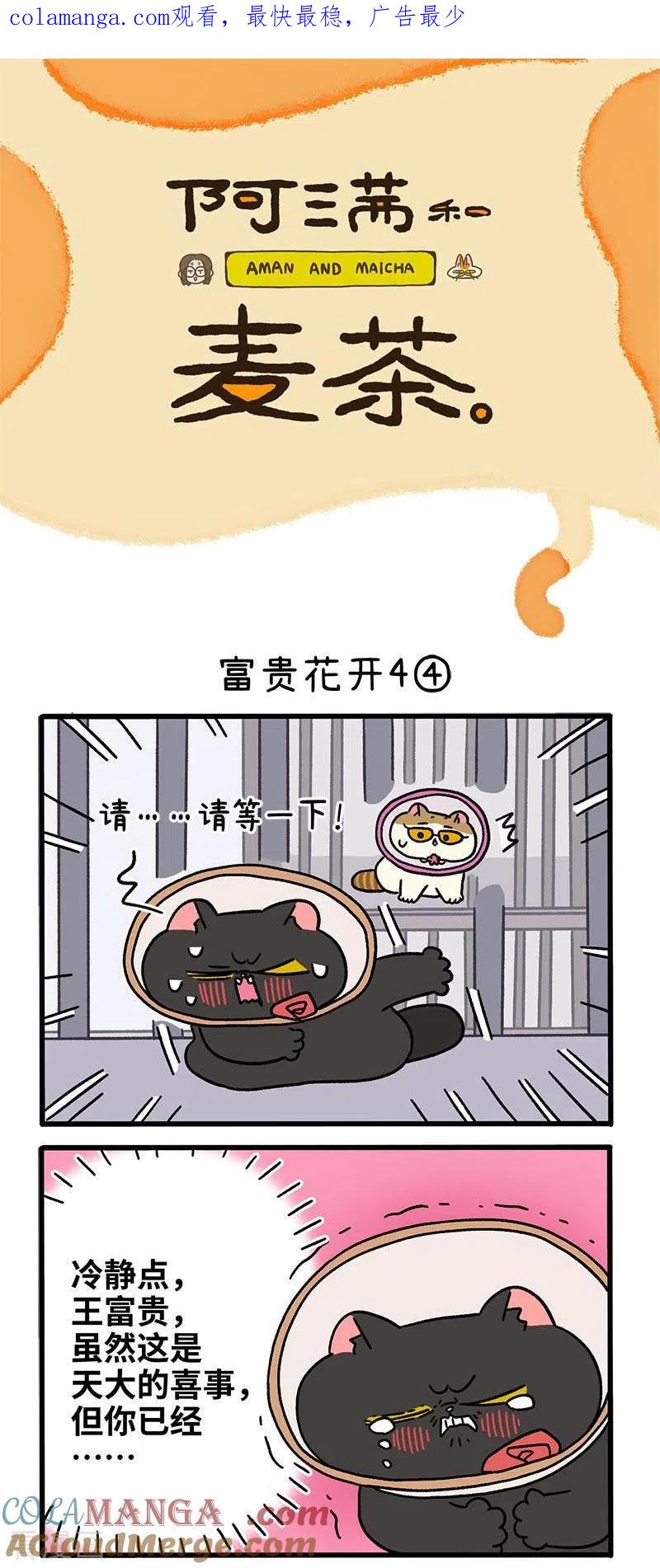番外24下富贵花开4-阿满和麦茶-新漫画 日胖大海寺（第1张）