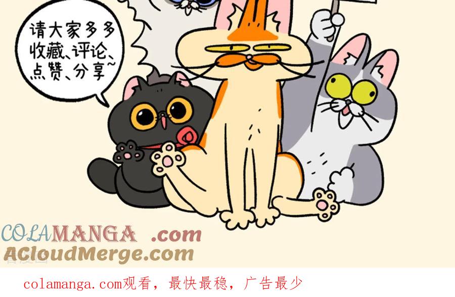 第111话猫晶晶疑云5-阿满和麦茶-新漫画 日胖大海寺（第9张）