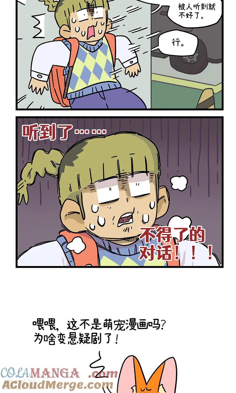 第113话猫晶晶疑云7-阿满和麦茶-新漫画 日胖大海寺（第6张）