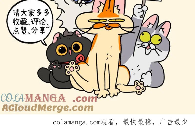 第113话猫晶晶疑云7-阿满和麦茶-新漫画 日胖大海寺（第9张）